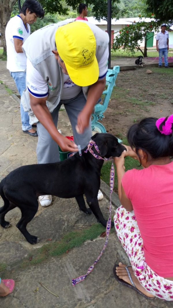 VACUNACIÓN CANINA EN LA ZONA RURAL DE LAMAS