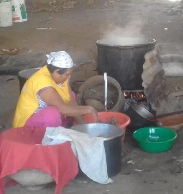 SALUD Y AUTORIDADES INSPECCIONARÁN DIVERSOS LOCALES DE EXPENDIO DE ALIMENTOS Y BEBIDAS EN LAMAS.