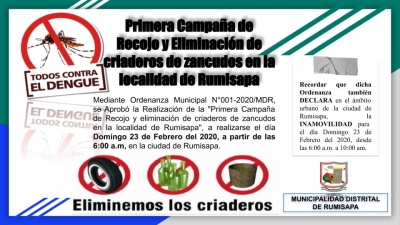 PRIMERA CAMPAÑA DE RECOJO Y ELIMINACIÓN DE CRIADEROS DE ZANCUDOS EN LA LOCALIDAD DE RUMISAPA.